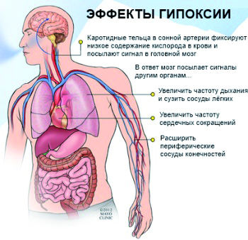 гипоксия.jpg гипоксия.jpg
